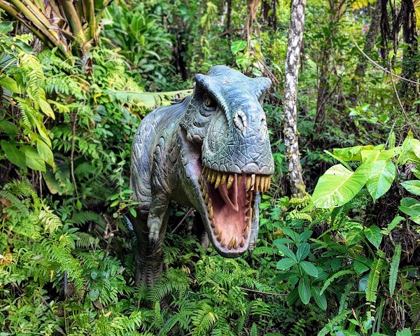 Dino Park Yanbaru 1
