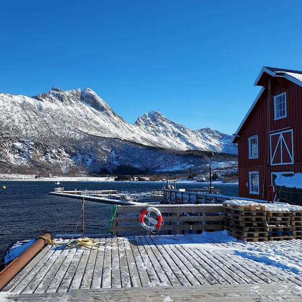 Noorwegen 36
