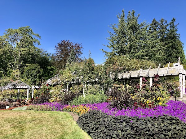 Stanley Park Rose Garden 5