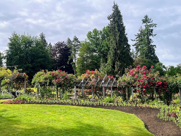 Stanley Park Rose Garden 4
