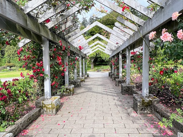 Stanley Park Rose Garden 3