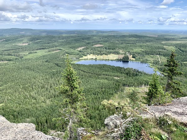 Blacksås