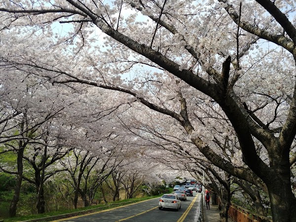 Dalmaji Park 2