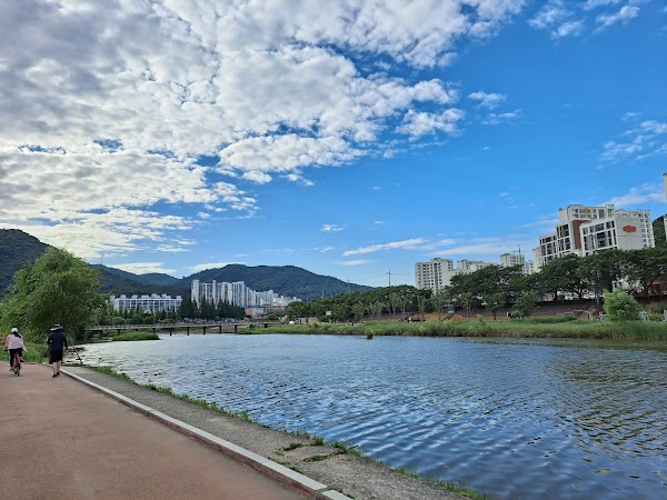 Cherry Blossom 🌸 50