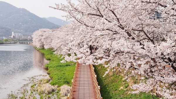 순천동천 5