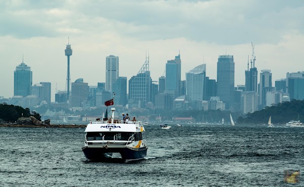 Watsons Bay 5
