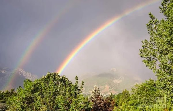 Rainbow Range 4