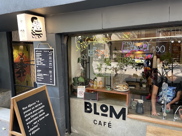 Blom Nápoles