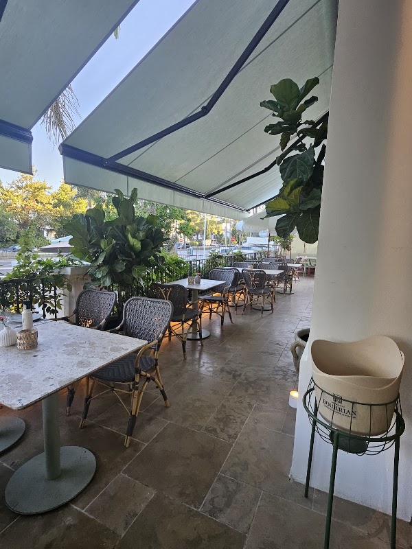 Planta Bistrot