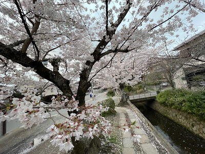 Philosopher's Path 2