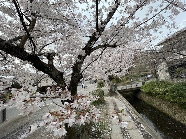 Kyoto 16