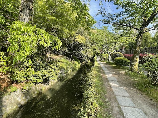 Philosopher's Path 4