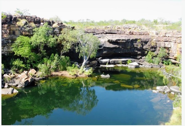 Surveyors Pool