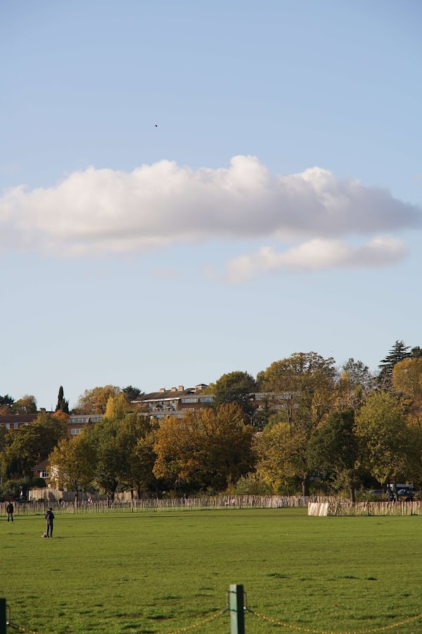 Wimbledon Park 3