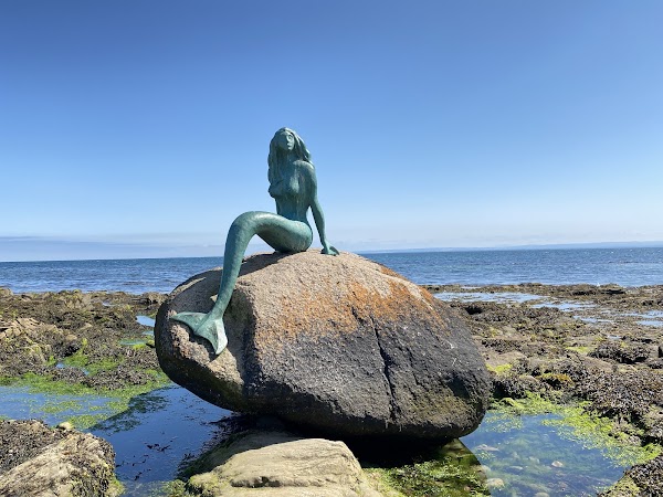 Mermaid of the North
