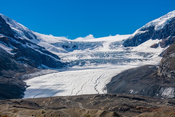 Athabasca Glacier 5