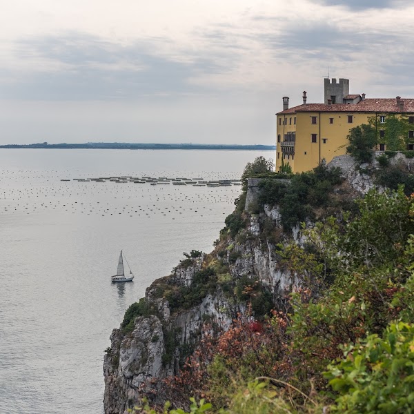 Italy 44