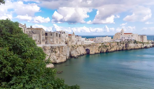 Vieste 4