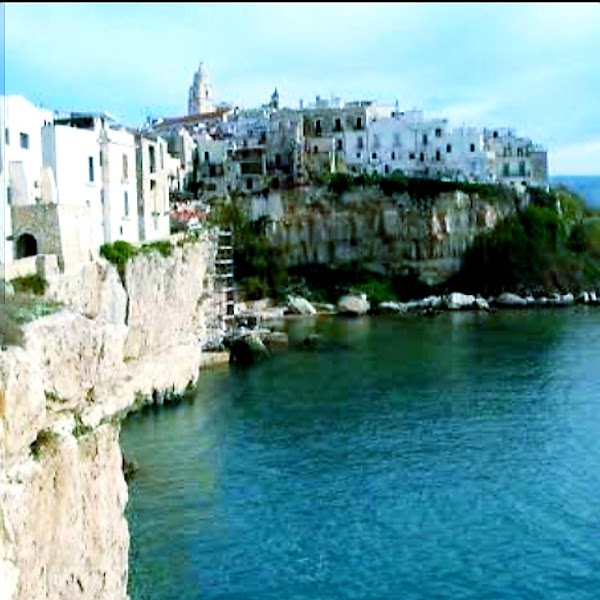 Vieste 3