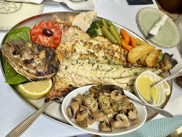 LIONDI Traditional Greek Restaurant 3