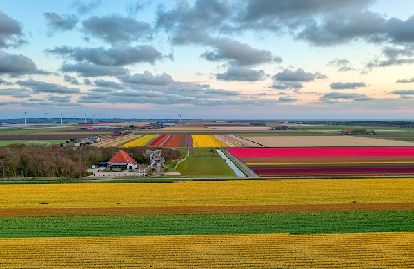 Land van Fluwel Avonturenparadijs 5