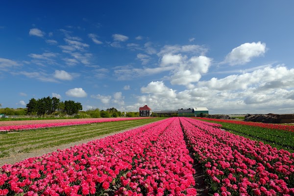 Land van Fluwel Avonturenparadijs 3
