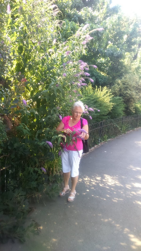 Ravenscourt Park 4