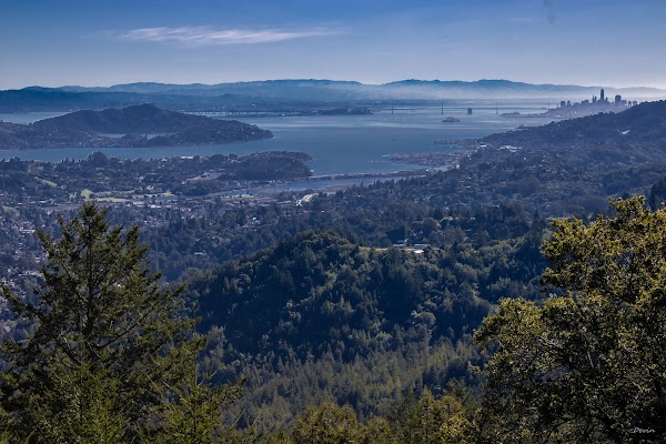 Mount Tamalpais State Park 1