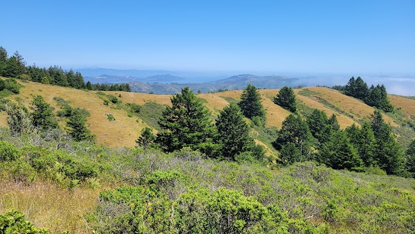 Mount Tamalpais State Park 5