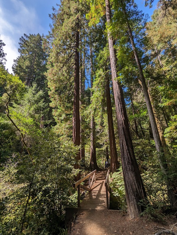 Mount Tamalpais State Park 4