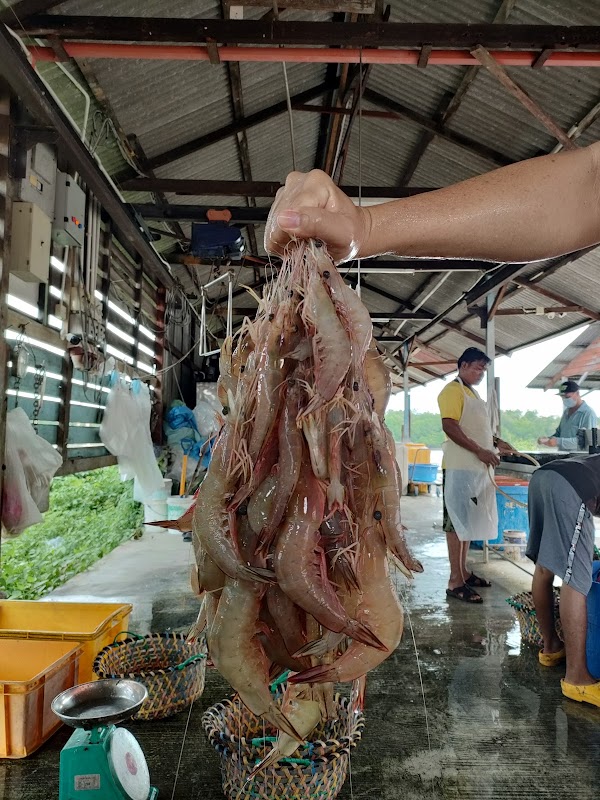Sungai Yu Fishery 5