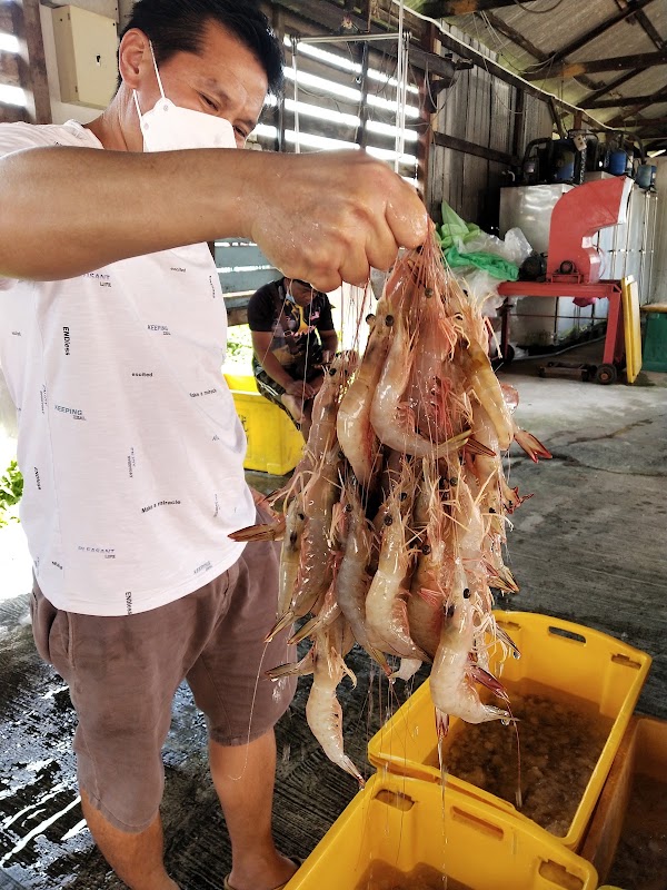 Sungai Yu Fishery 2