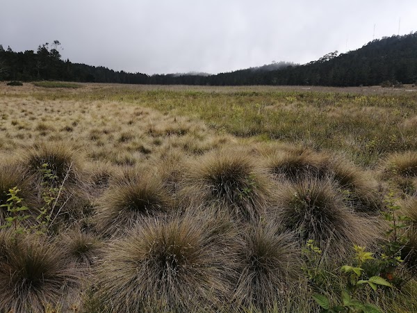 Valle Nuevo National Park 5