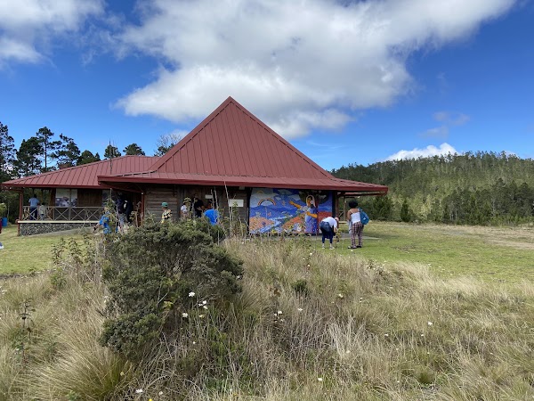 Valle Nuevo National Park 4