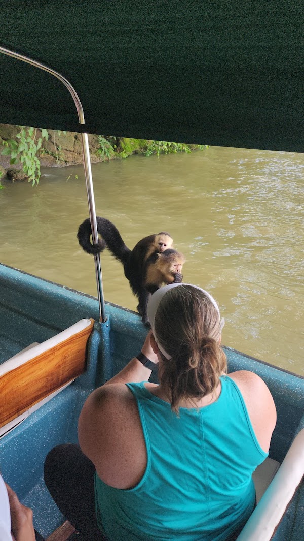 Panama 5