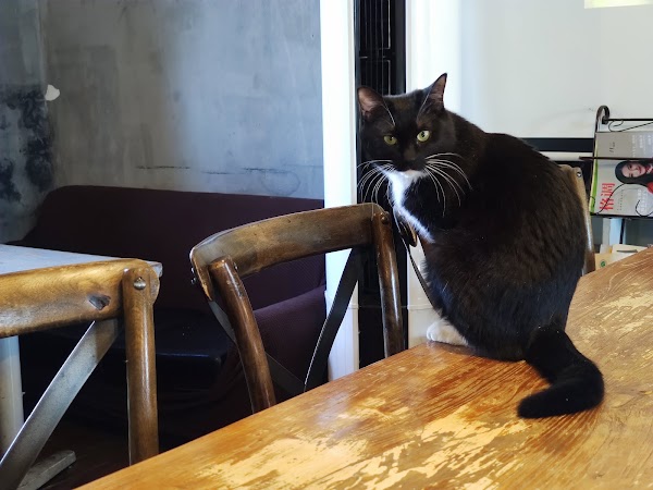 Bookhouse Cafe 3