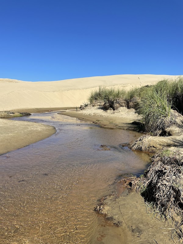 Giant Sand Dunes 1