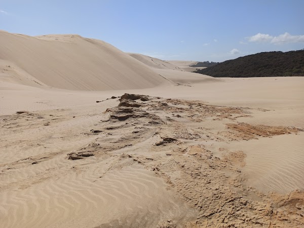 Giant Sand Dunes 2