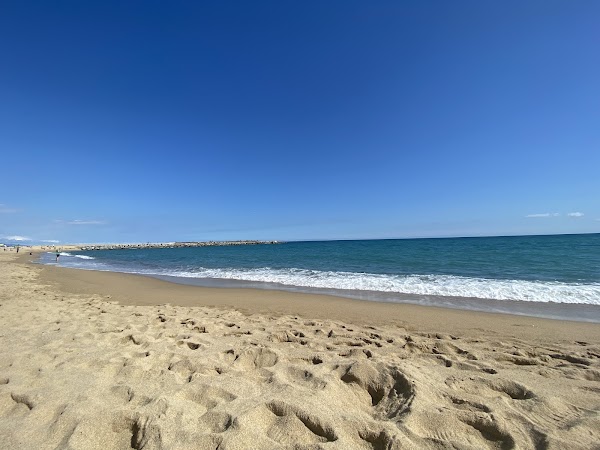Platja de la Mar Bella 5
