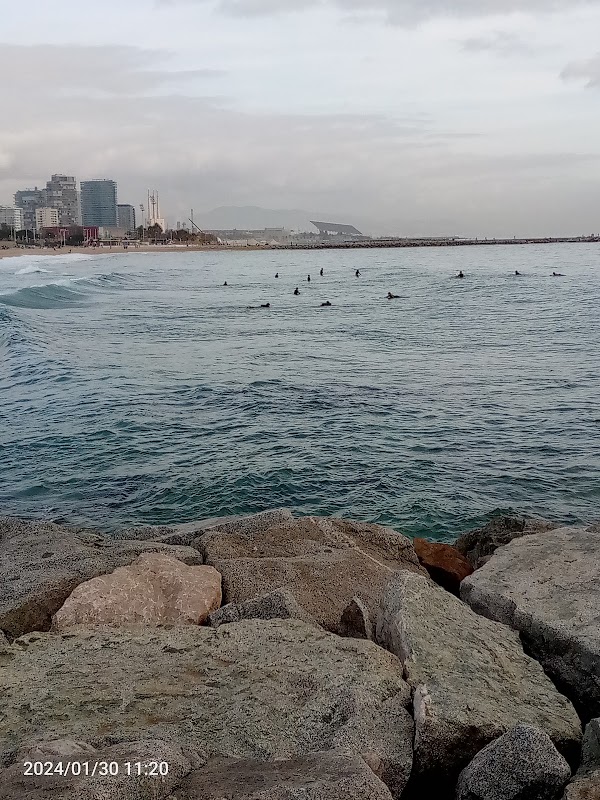 Platja de la Mar Bella 3