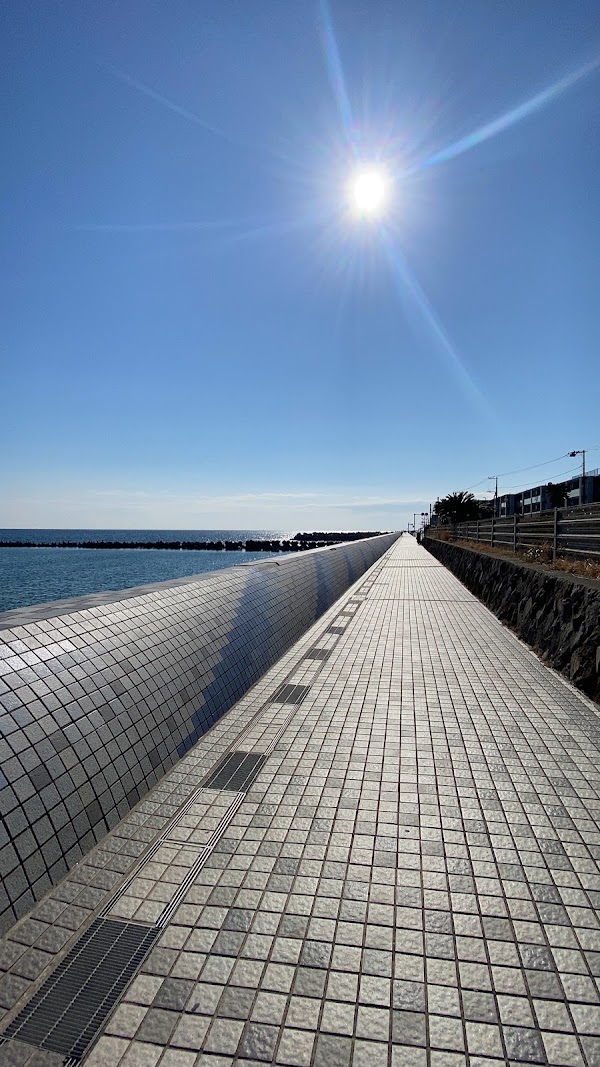 Kamakura Seaside Park Sakanoshita Area