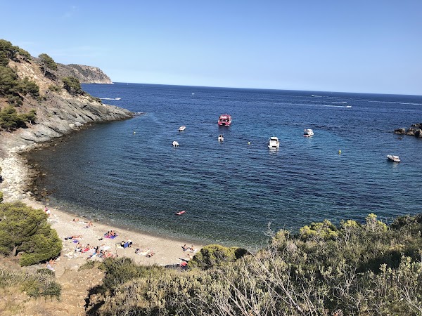 Platja Cala Murtra