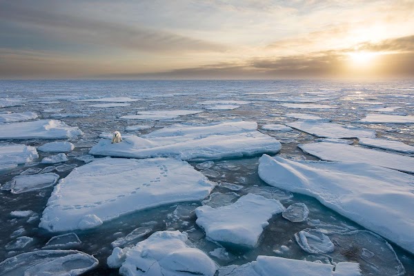 Arctic Ocean 5