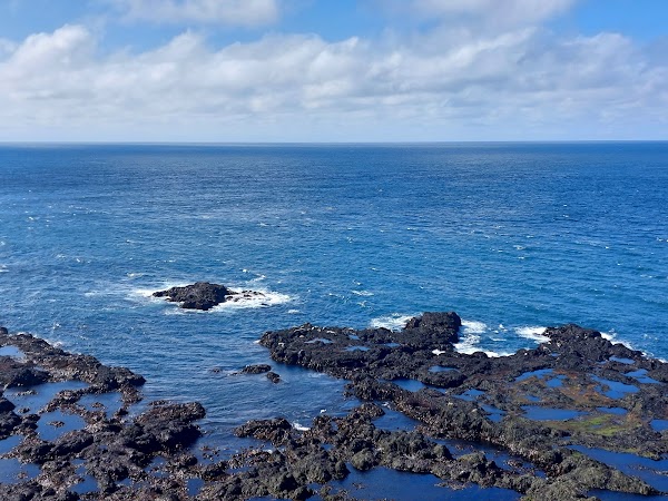 Látrabjarg 4