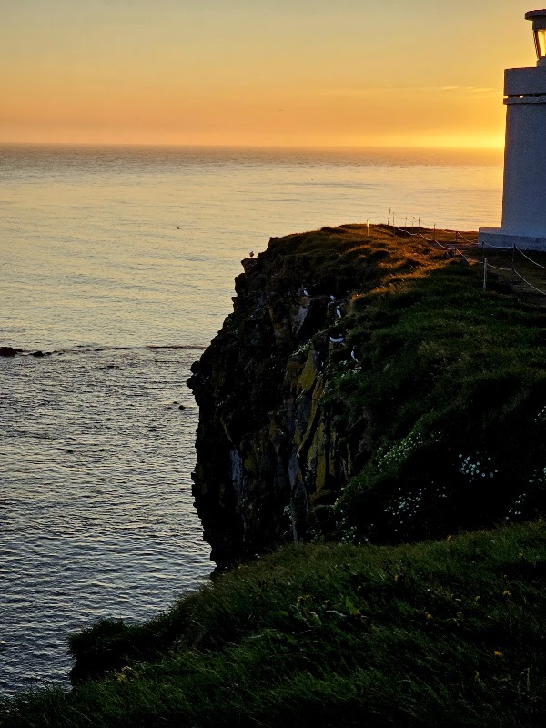 Látrabjarg 3