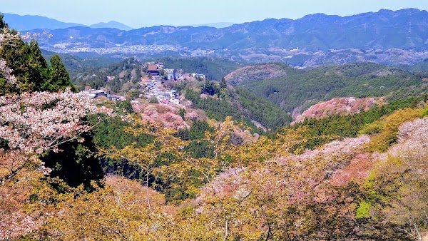Yoshino Kumano National Park 3
