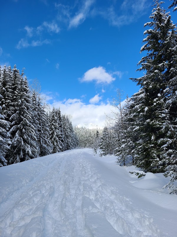 Gold Creek Pond Trail