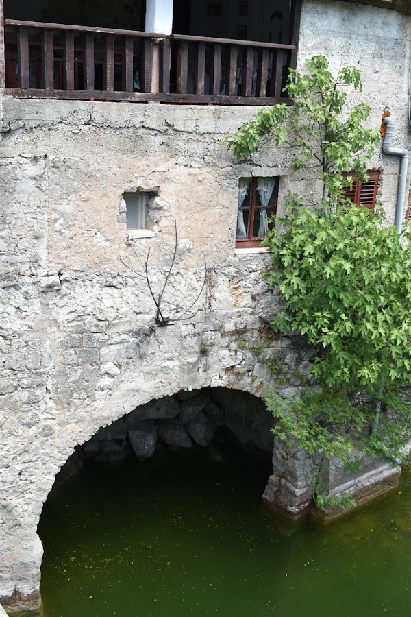 Rijeka Crnojevića 5