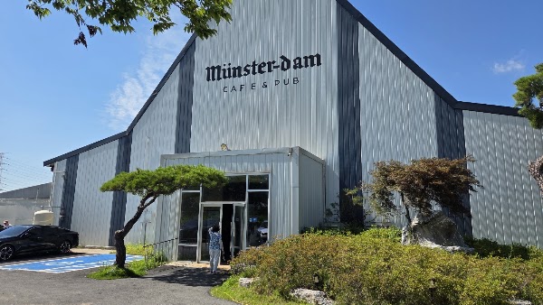 Münster-dam 3