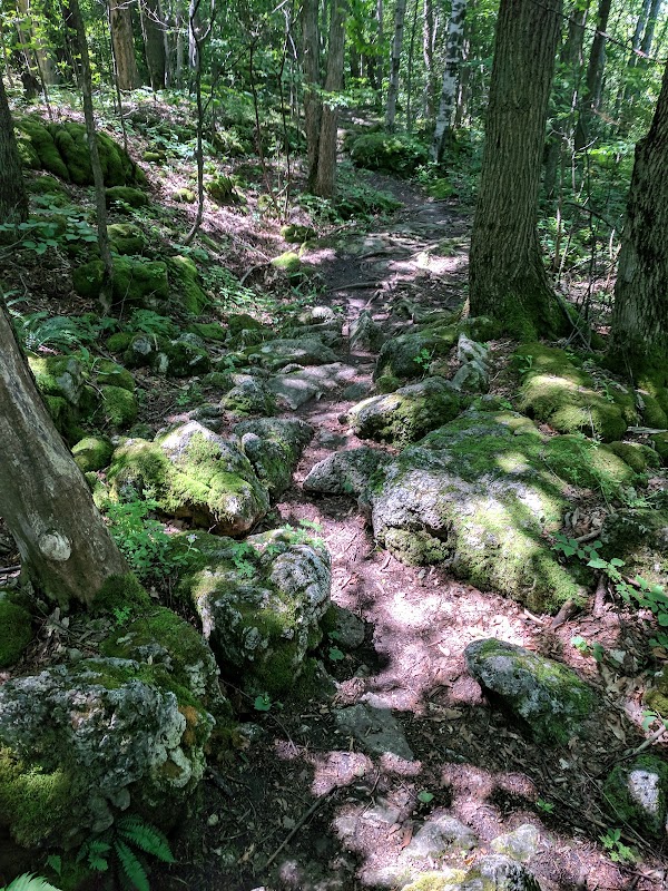 Petun Conservation Area